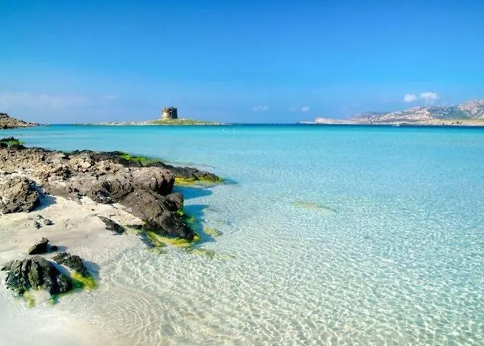 דירה Very Well פורטו טורס